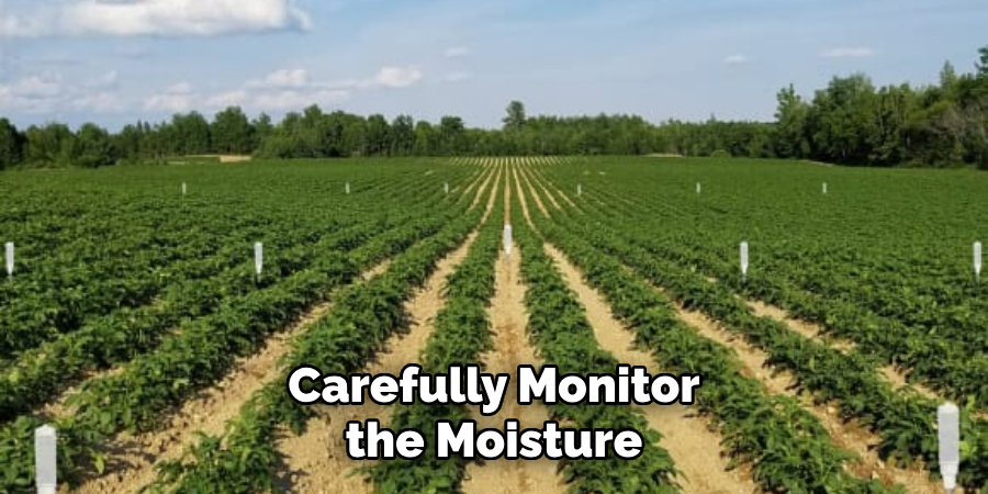 Carefully Monitor the Moisture