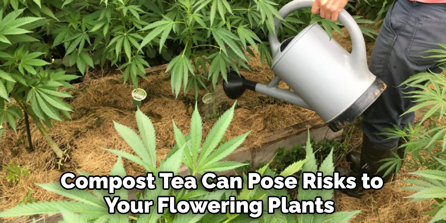  Compost Tea Can Pose Risks to Your Flowering Plants