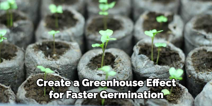 Create a Greenhouse Effect for Faster Germination