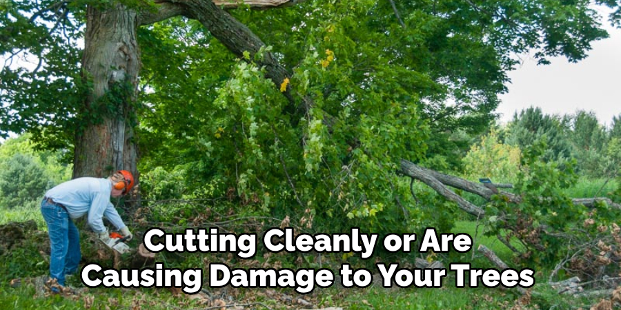 Cutting Cleanly or Are Causing Damage to Your Trees