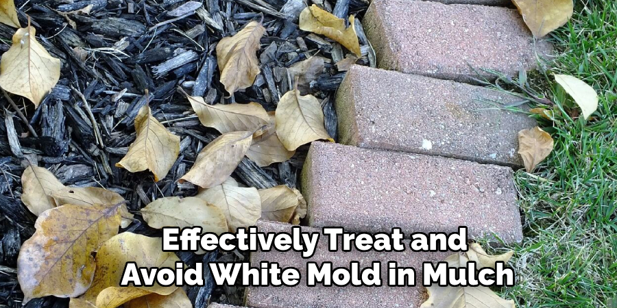 Effectively Treat and Avoid White Mold in Mulch