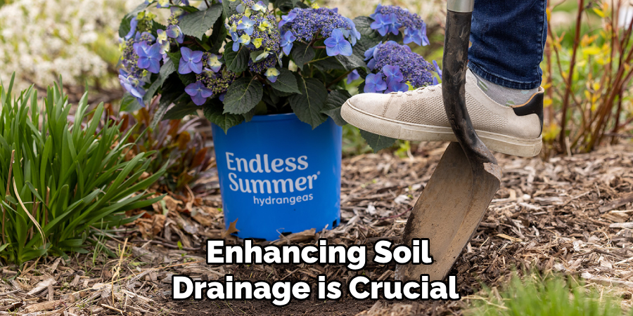 Enhancing Soil 
Drainage is Crucial  