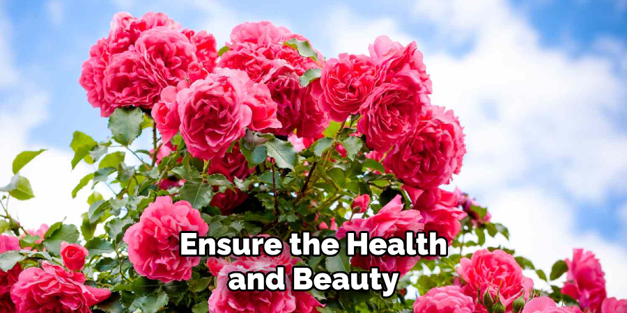 Ensure the Health and Beauty