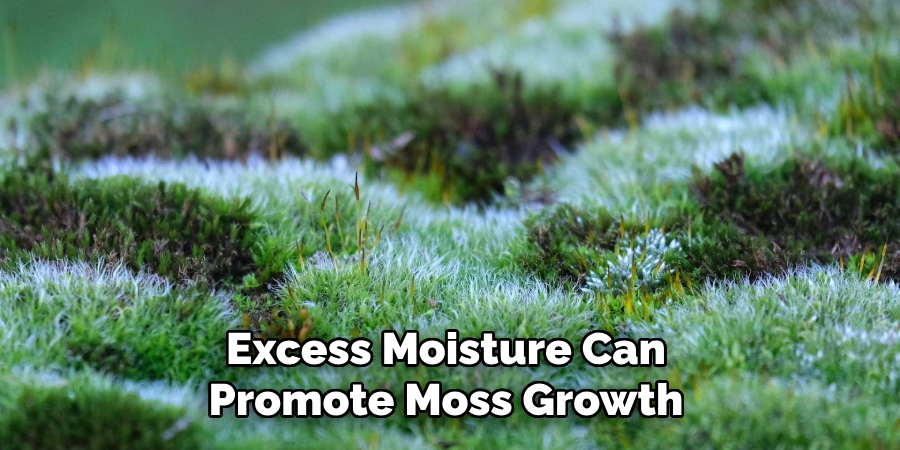 Excess Moisture Can Promote Moss Growth