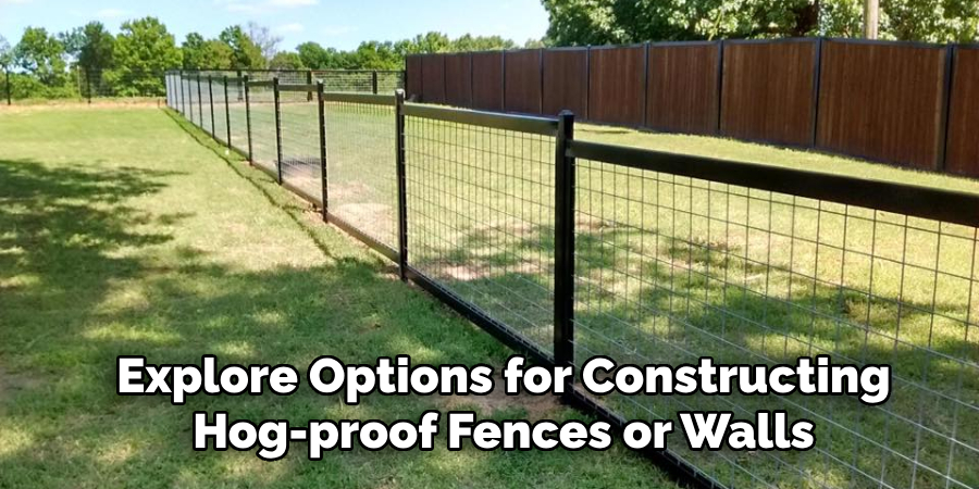 Explore Options for Constructing Hog-proof Fences or Walls