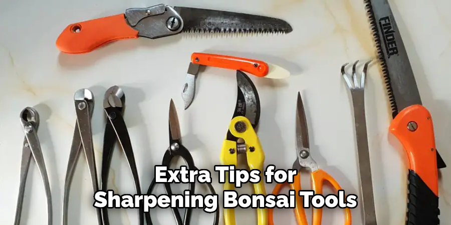 Extra Tips for Sharpening Bonsai Tools
