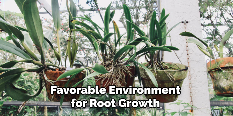 Favorable Environment for Root Growth