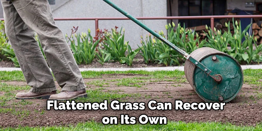  Flattened Grass Can Recover on Its Own