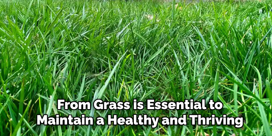 From Grass is Essential to Maintain a Healthy and Thriving