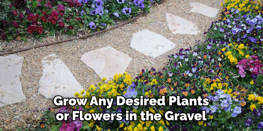 Grow Any Desired Plants or Flowers in the Gravel