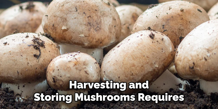 Harvesting and Storing Mushrooms Requires