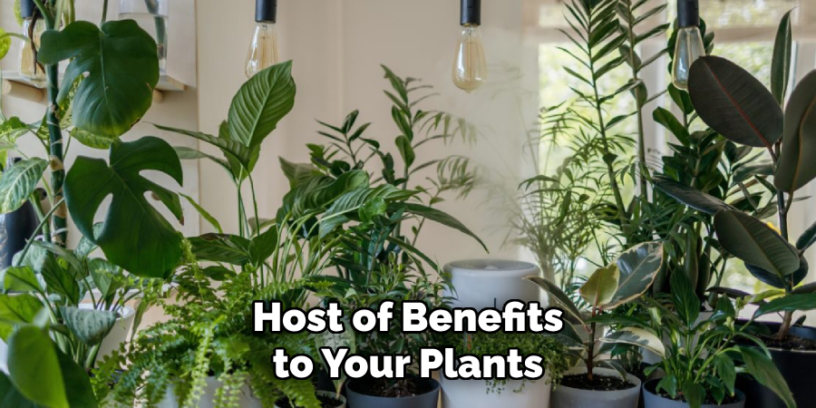 Host of Benefits to Your Plants