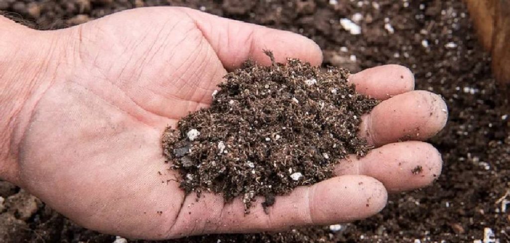 How to Add Micronutrients to Soil