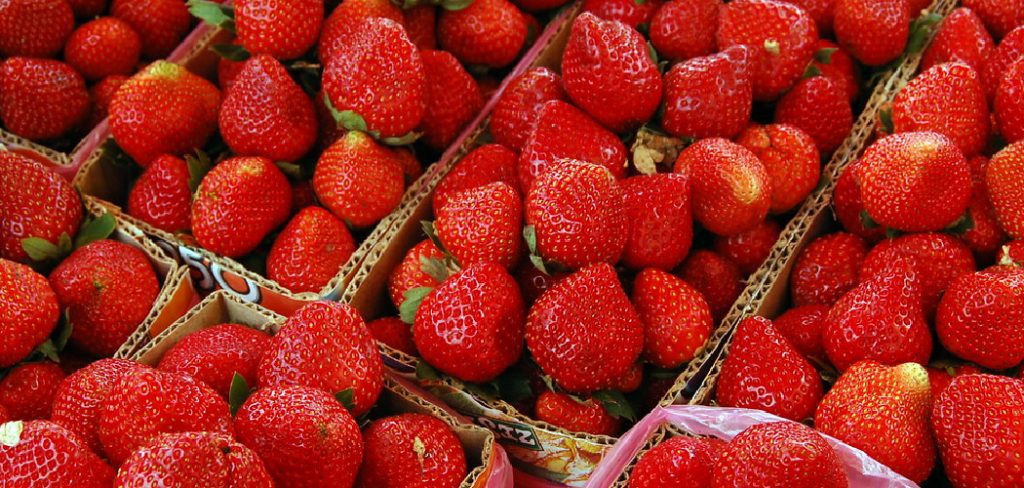 How to Keep Chipmunks Out of Strawberries