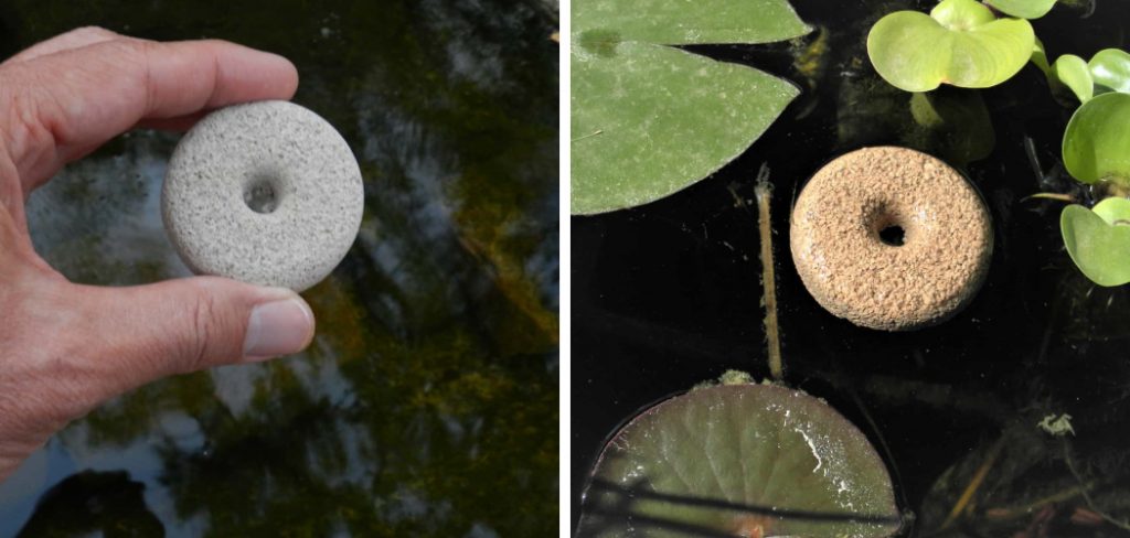 How to Make Mosquito Dunks