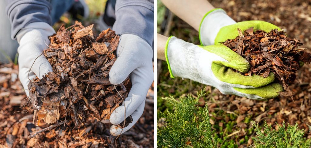 How to Refresh Mulch