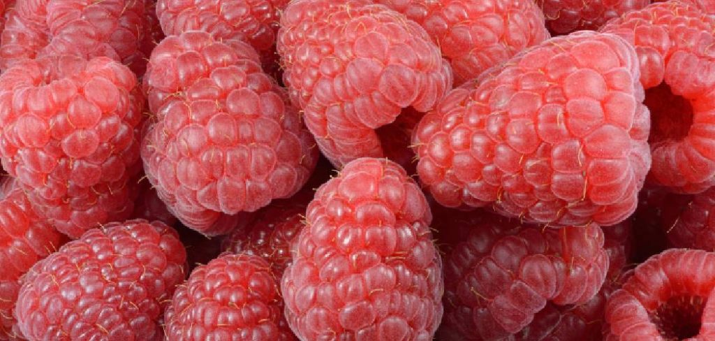 How to Transplant Raspberries