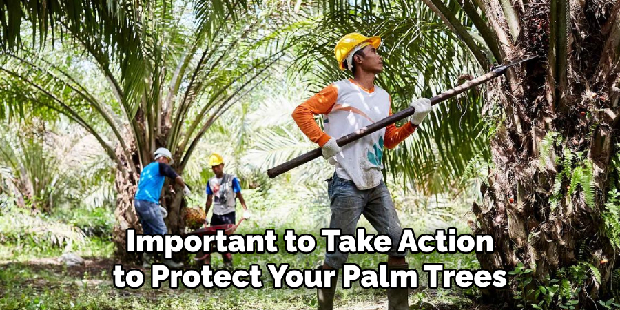 Important to Take Action to Protect Your Palm Trees