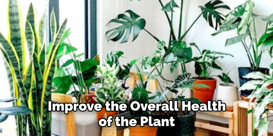 Improve the Overall Health of the Plant