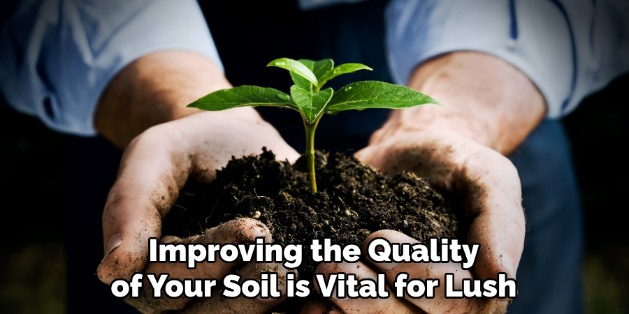 Improving the Quality of Your Soil is Vital for Lush