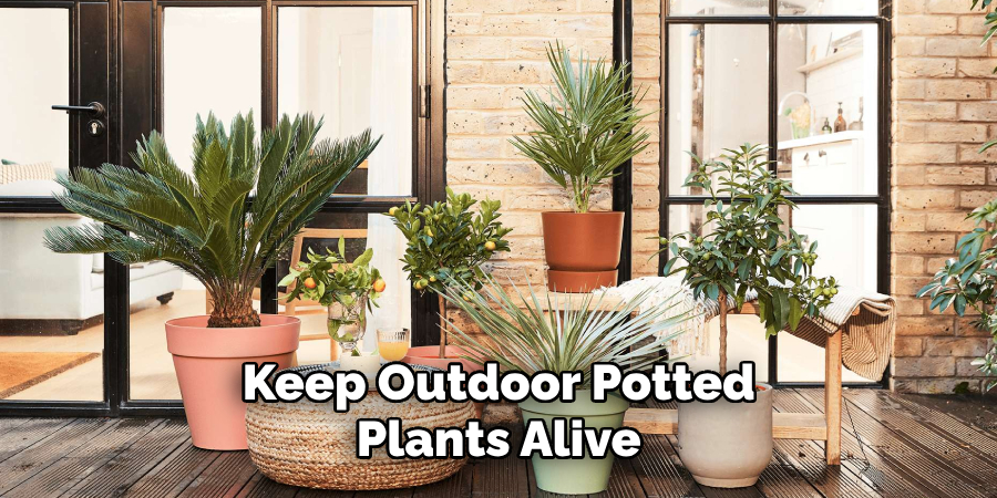 Keep Outdoor Potted Plants Alive