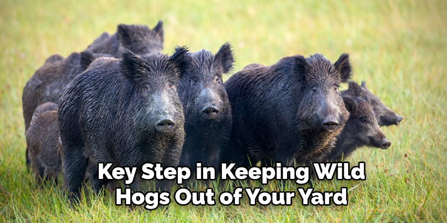 Key Step in Keeping Wild Hogs Out of Your Yard