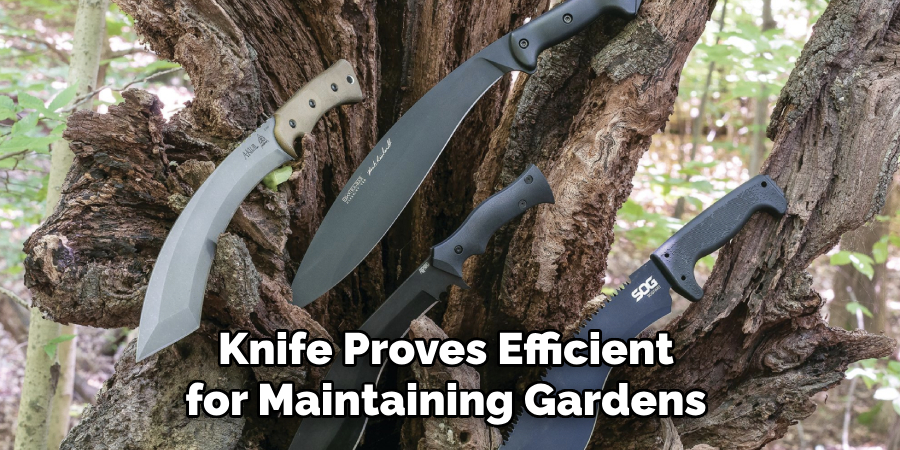 Knife Proves Efficient for Maintaining Gardens