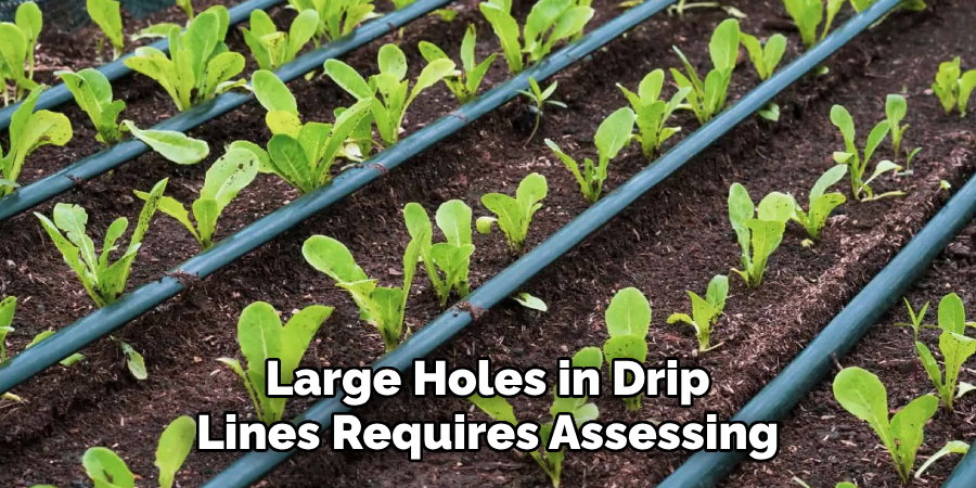 Large Holes in Drip Lines Requires Assessing