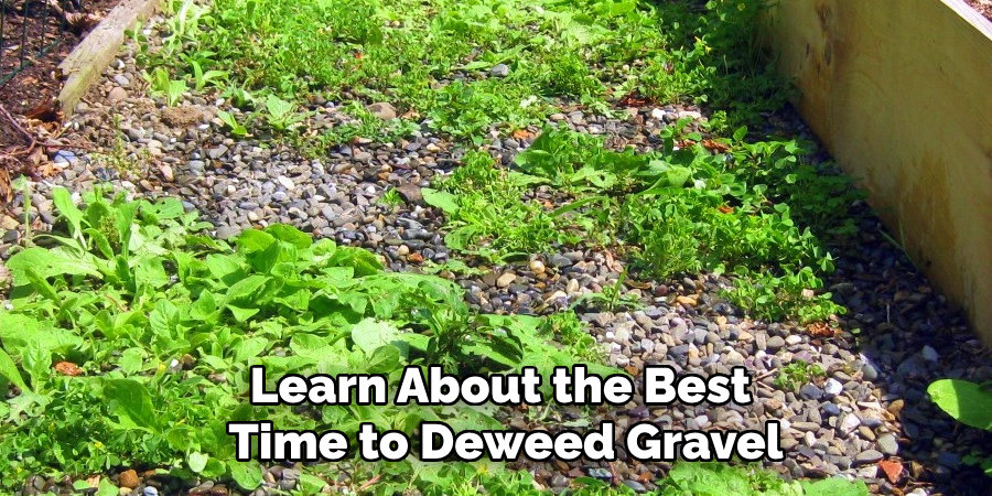 Learn About the Best 
Time to Deweed Gravel