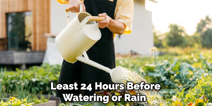  Least 24 Hours Before Watering or Rain
