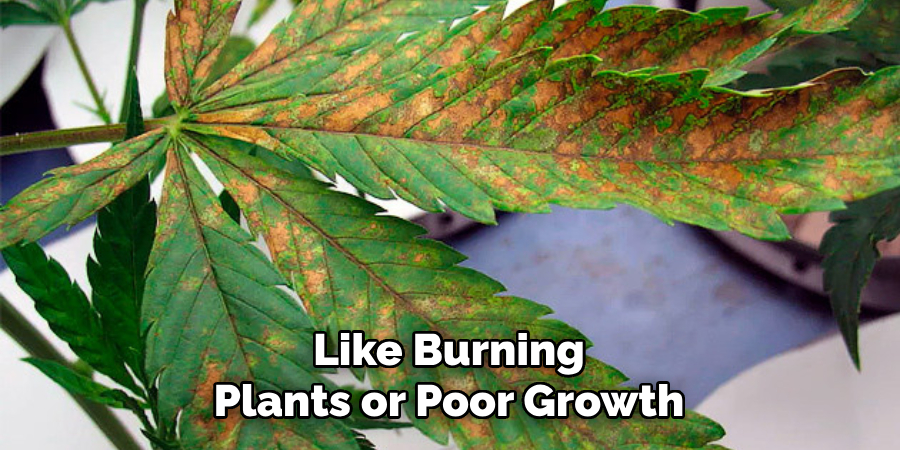 Like Burning Plants or Poor Growth