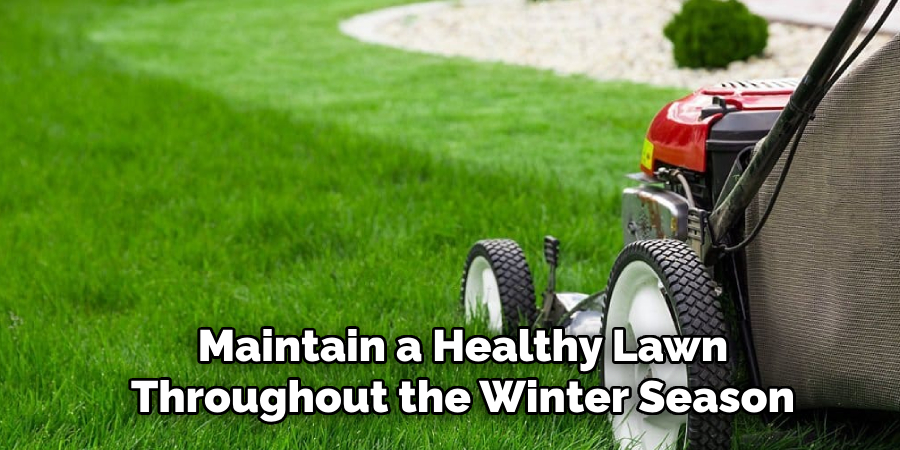 Maintain a Healthy Lawn Throughout the Winter Season