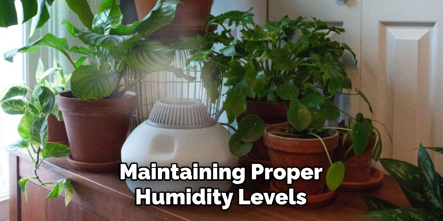 Maintaining Proper Humidity Levels
