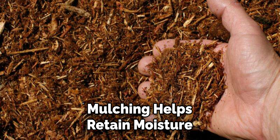 Mulching Helps Retain Moisture