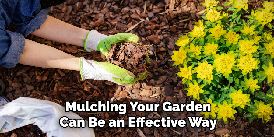 Mulching Your Garden Can Be an Effective Way