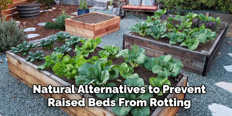 Natural Alternatives to Prevent Raised Beds From Rotting