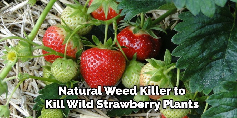 Natural Weed Killer to Kill Wild Strawberry Plants