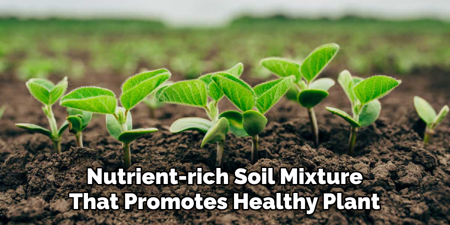 Nutrient-rich Soil Mixture That Promotes Healthy Plant