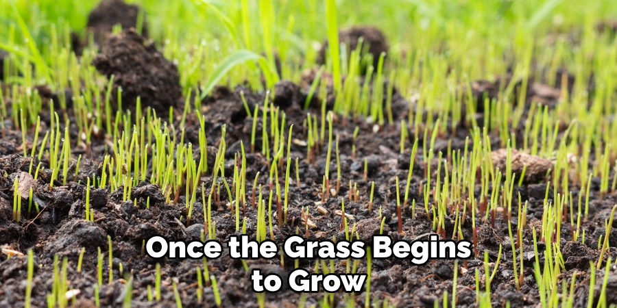 Once the Grass Begins to Grow