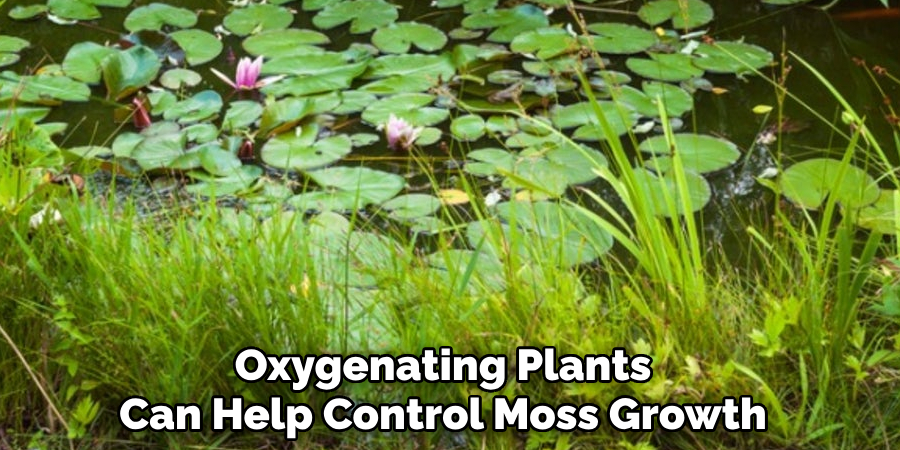 Oxygenating Plants Can Help Control Moss Growth