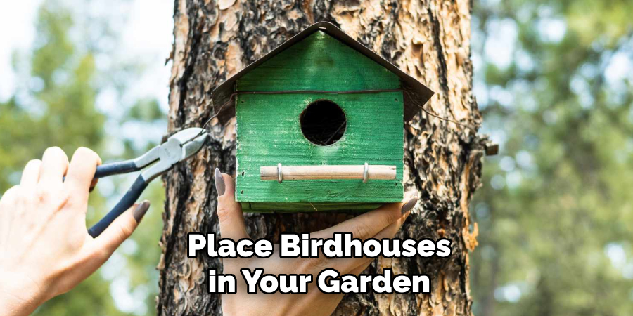 Place Birdhouses in Your Garden