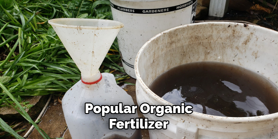 Popular Organic Fertilizer