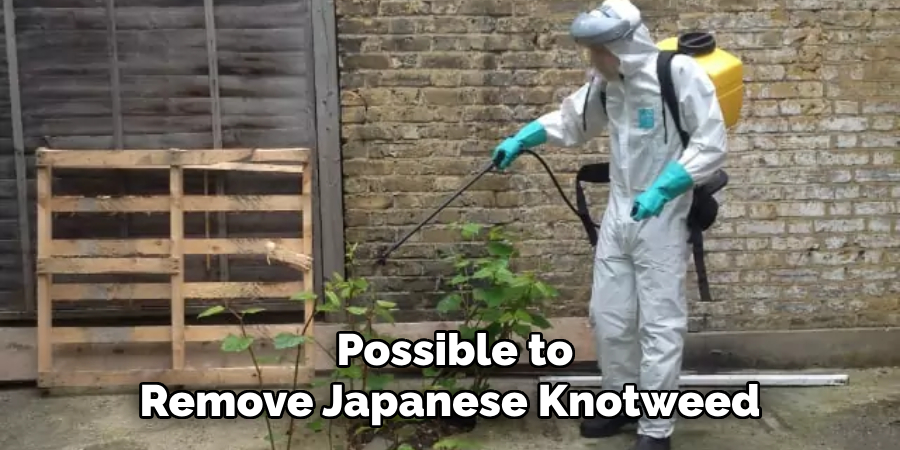  Possible to Remove Japanese Knotweed