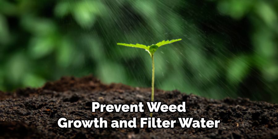 Prevent Weed Growth and Filter Water