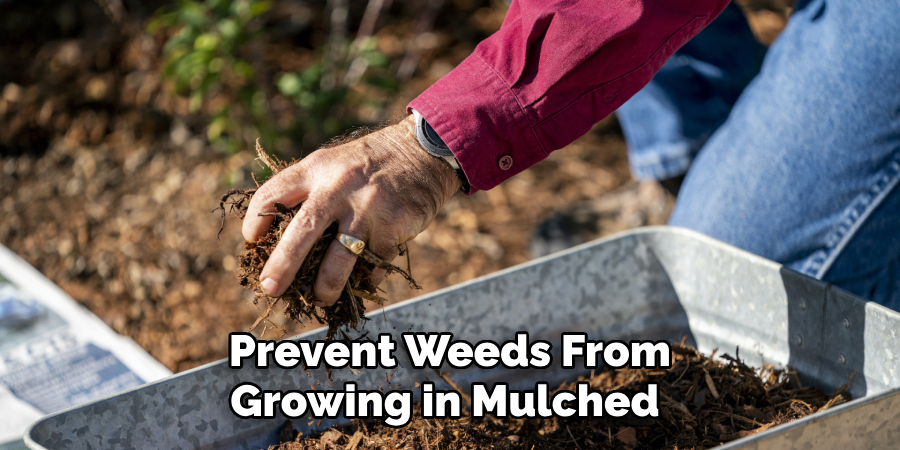  Prevent Weeds From Growing in Mulched