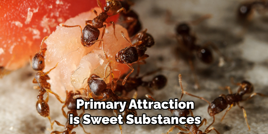 Primary Attraction is Sweet Substances