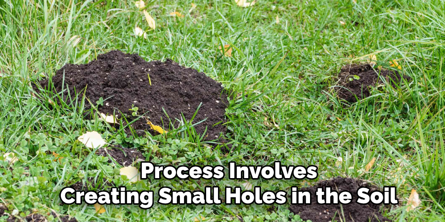 Process Involves Creating Small Holes in the Soil