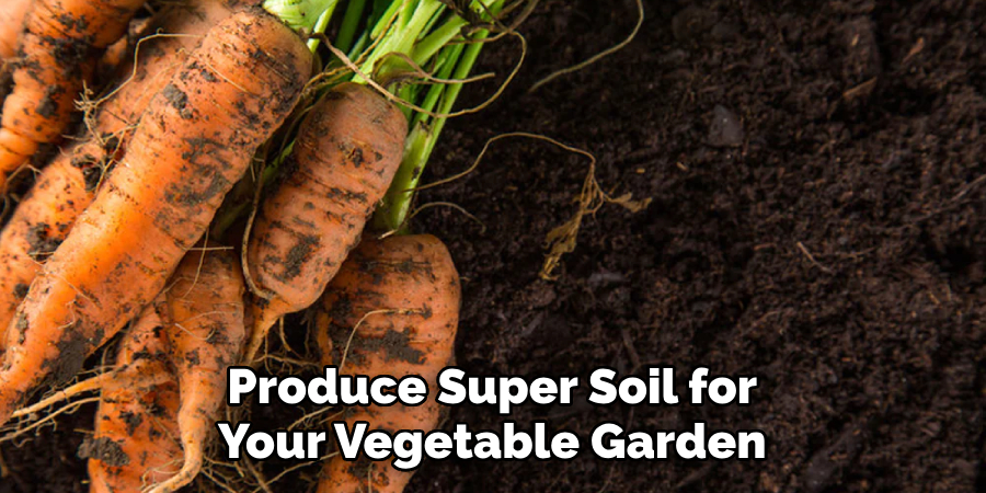 Produce Super Soil for Your Vegetable Garden