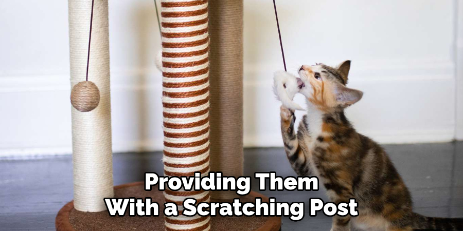 Providing Them With a Scratching Post and Toys