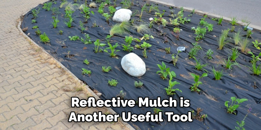 Reflective Mulch is Another Useful Tool